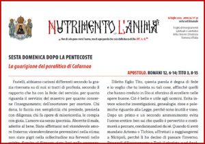 Scopri di più sull'articolo Nutrimento per l’Anima – SESTA DOMENICA DOPO LA PENTECOSTE – La guarigione del paralitico di Cafarnao