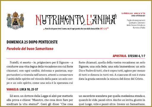 Al momento stai visualizzando Nutrimento per l’Anima – DOMENICA 25 DOPO PENTECOSTE – Parabola del buon Samaritano